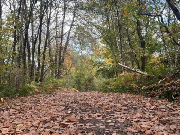 Automne Alpes Mancelles (4)