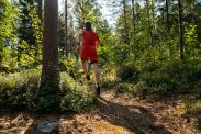Trail Alpes Mancelles Trail Alpes Mancelles